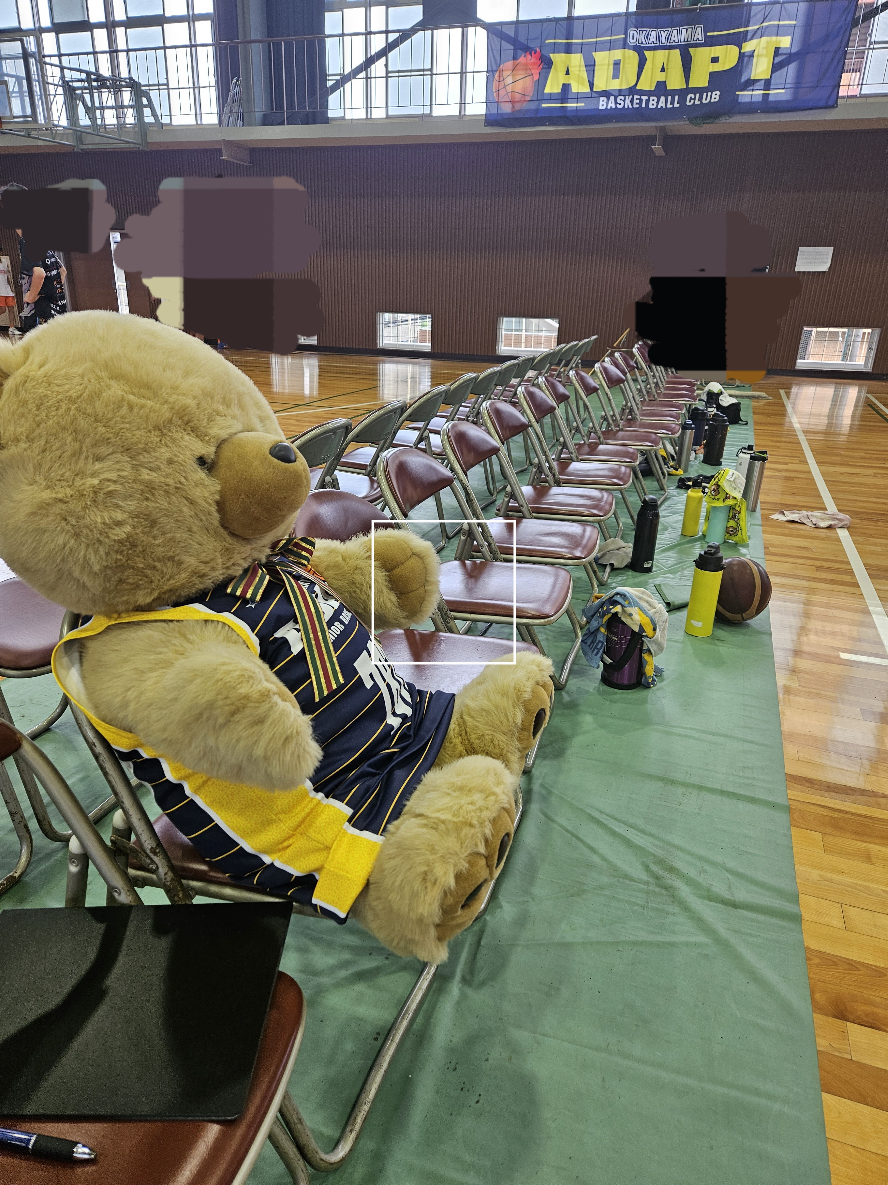 ADAPT くまぷと.jpg